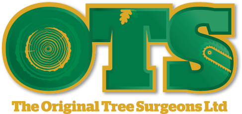 The Original Tree Surgeons